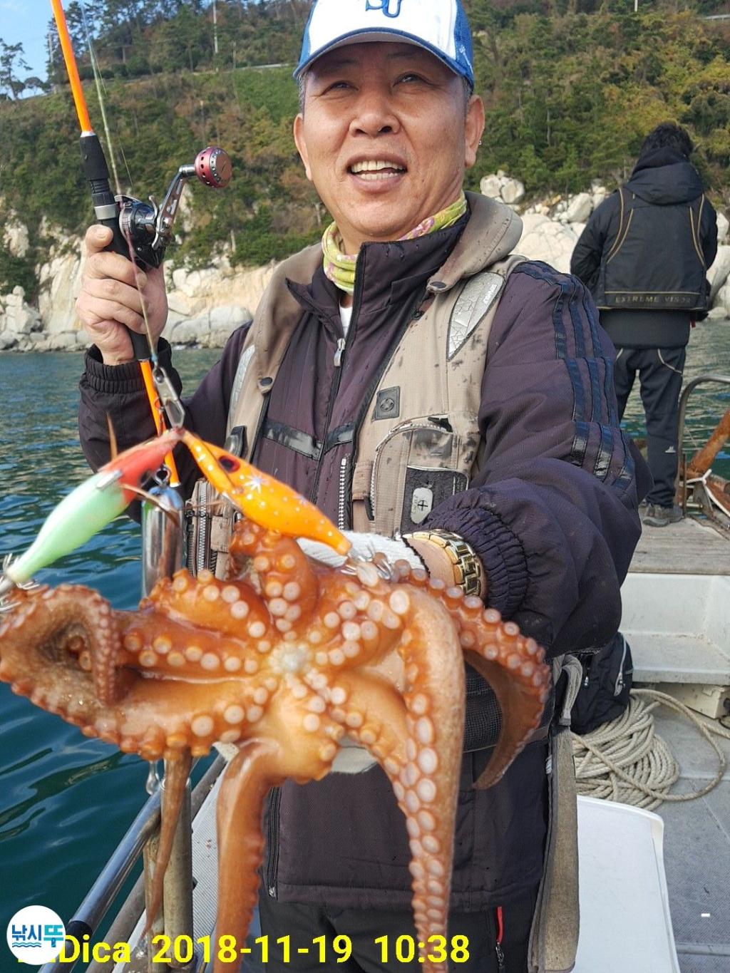 낚시뚜,돌문어,진해 안골항,제일호,낚시뚜9