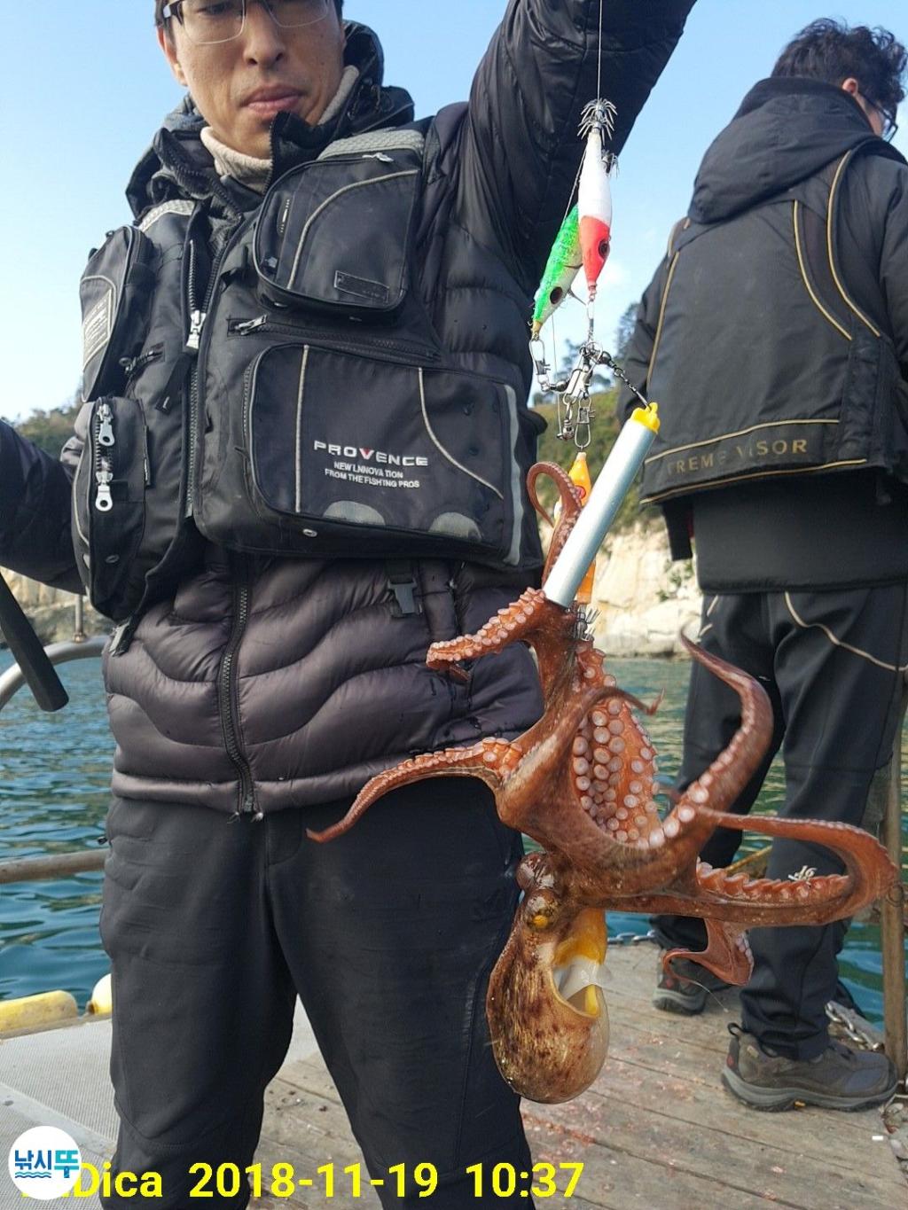 낚시뚜,돌문어,진해 안골항,제일호,낚시뚜7