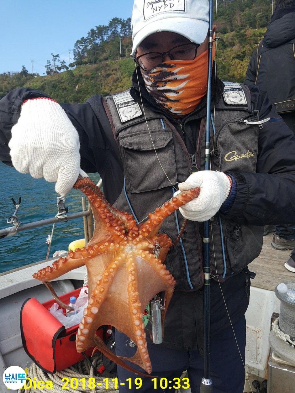 낚시뚜,돌문어,진해 안골항,제일호,낚시뚜6