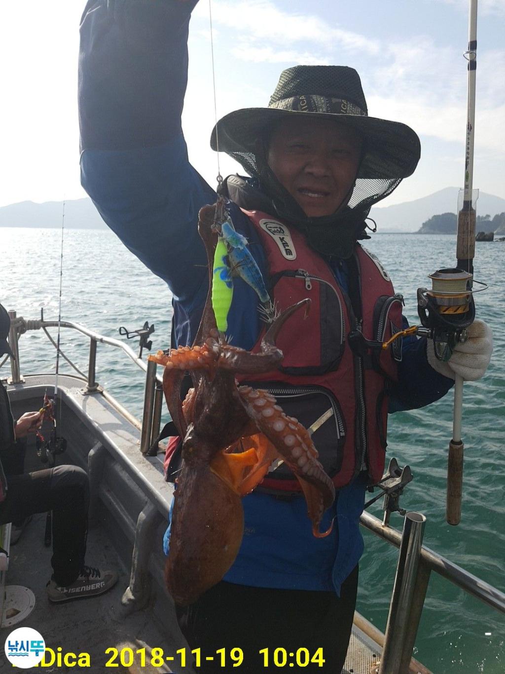 낚시뚜,돌문어,진해 안골항,제일호,낚시뚜5