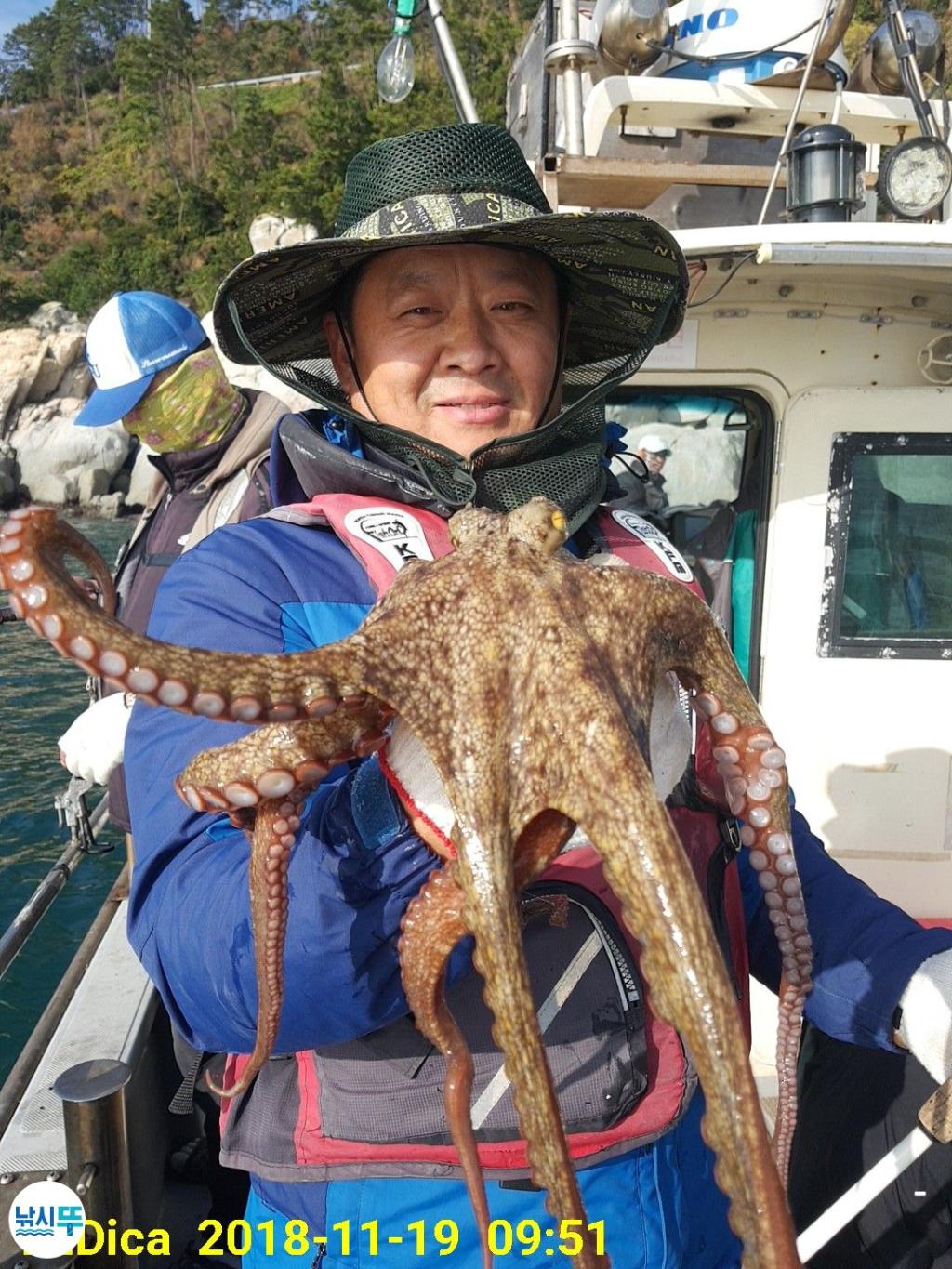 낚시뚜,돌문어,진해 안골항,제일호,낚시뚜4