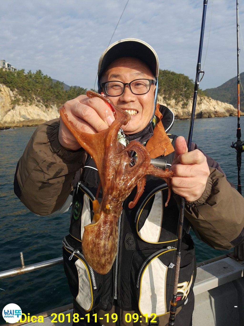 낚시뚜,돌문어,진해 안골항,제일호,낚시뚜3