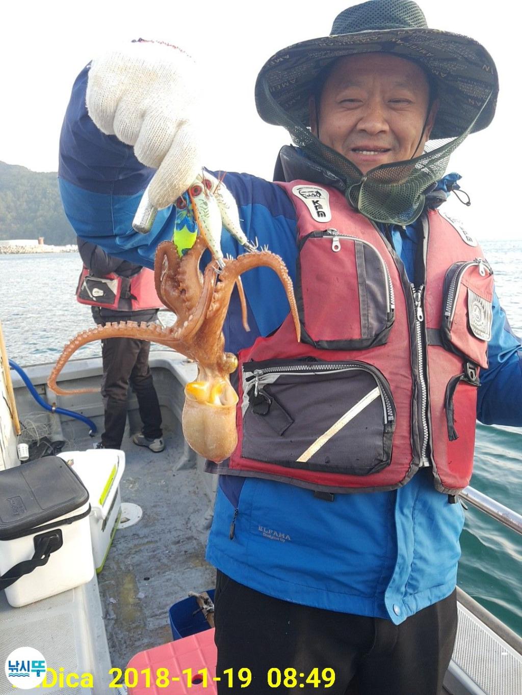 낚시뚜,돌문어,진해 안골항,제일호,낚시뚜2