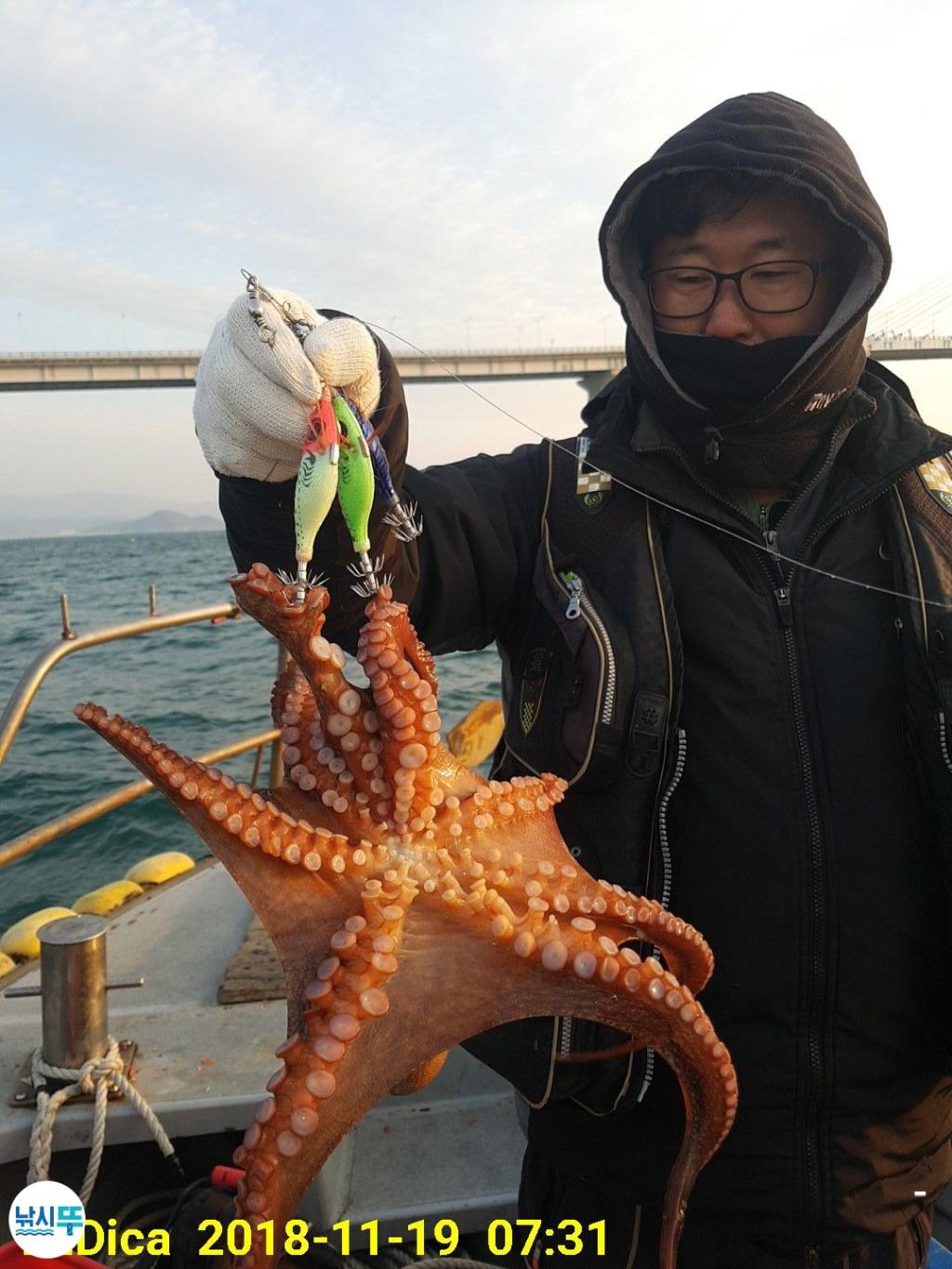 낚시뚜,돌문어,진해 안골항,제일호,낚시뚜1