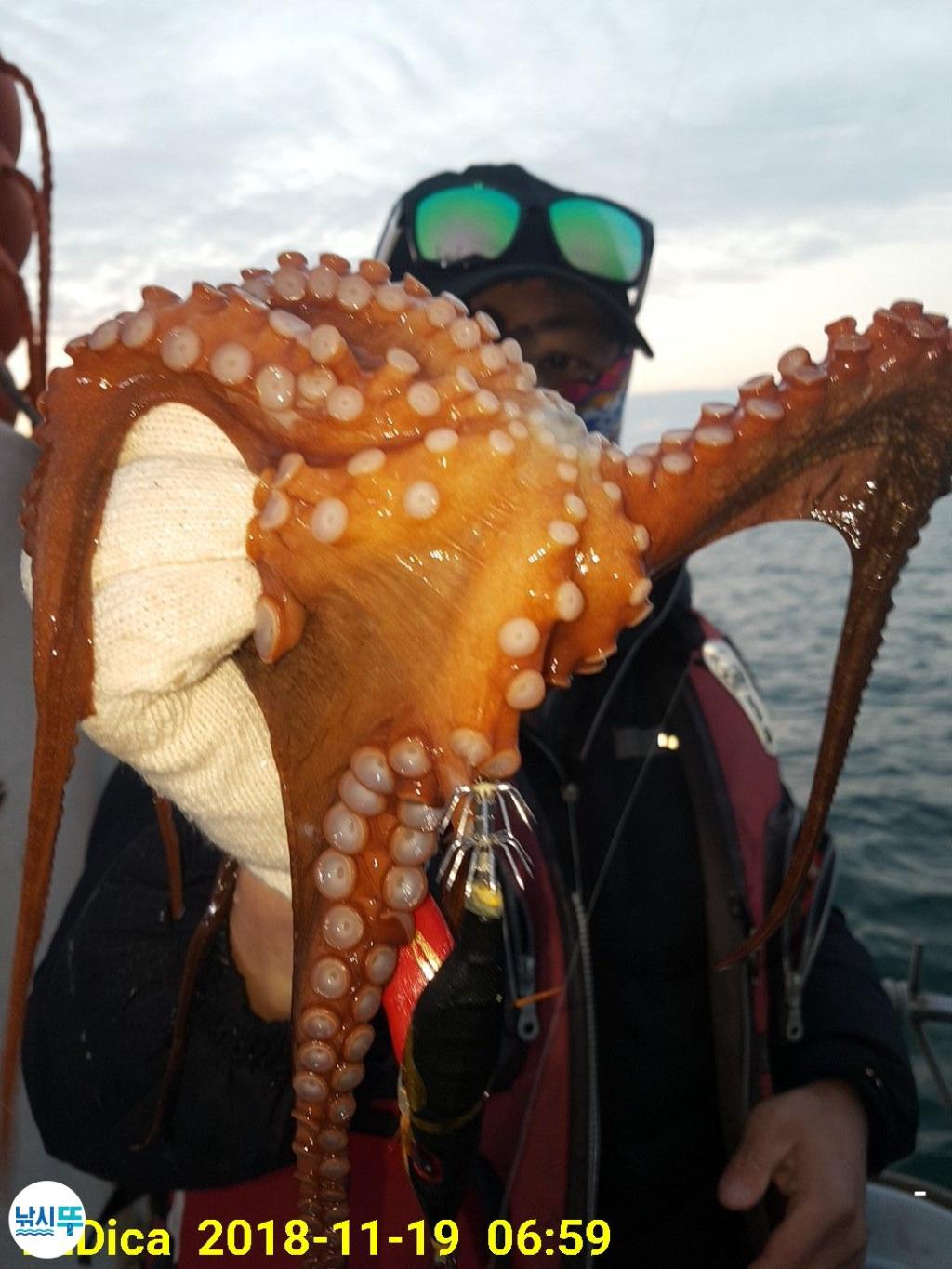 낚시뚜,돌문어,진해 안골항,제일호,낚시뚜0