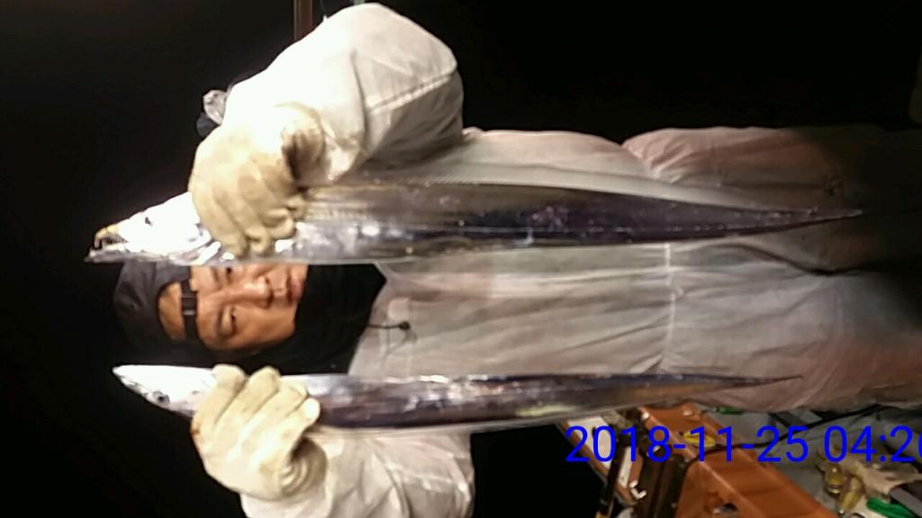 낚시뚜,갈치,녹동항,태극피싱호,낚시뚜2