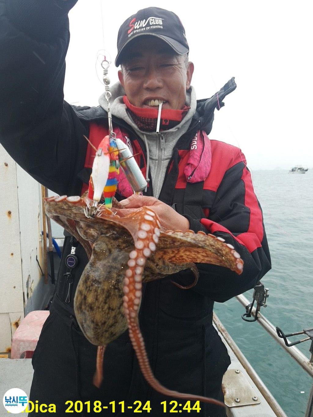 낚시뚜,돌문어,진해 안골항,제일호,낚시뚜10