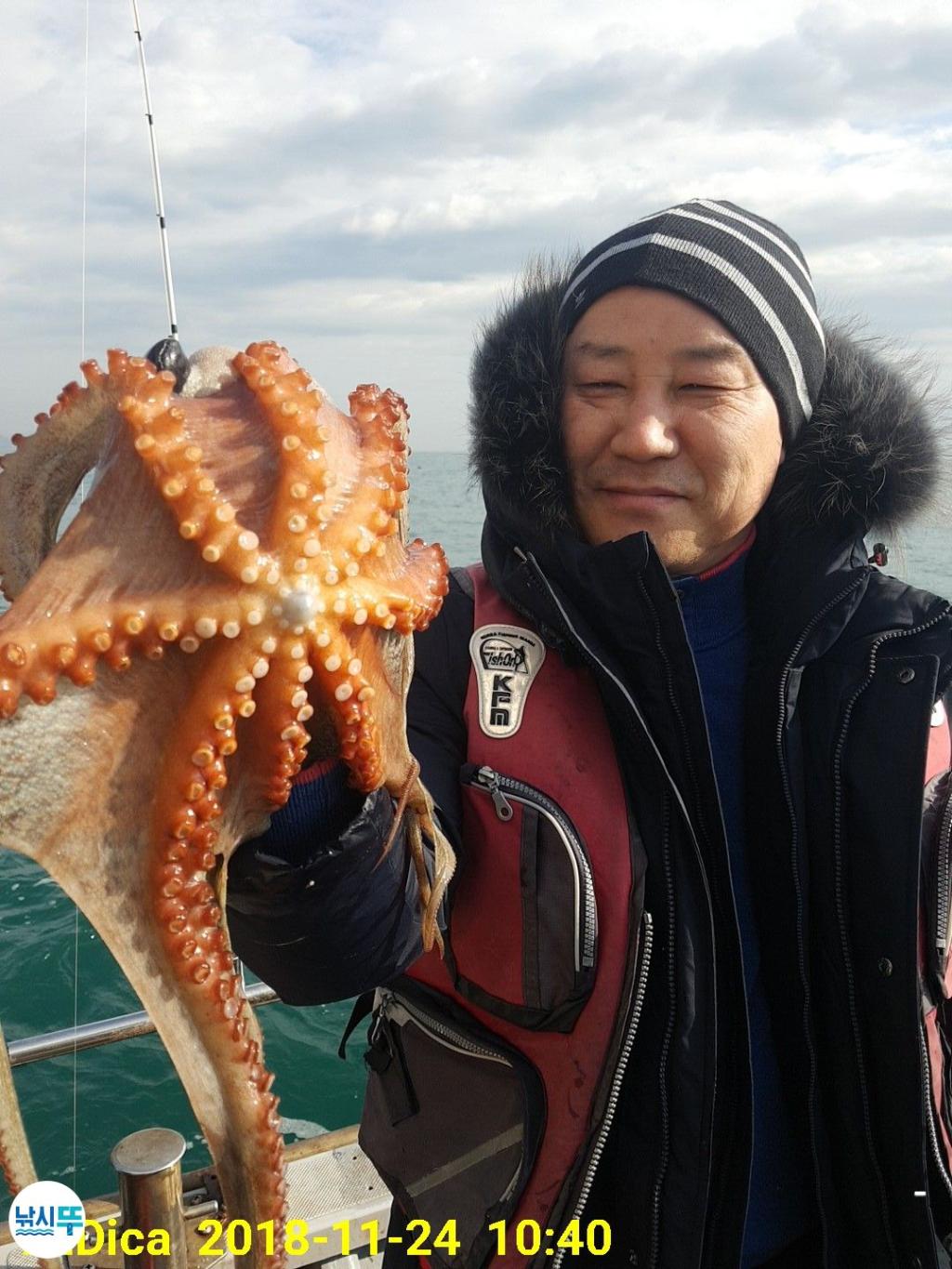 낚시뚜,돌문어,진해 안골항,제일호,낚시뚜5