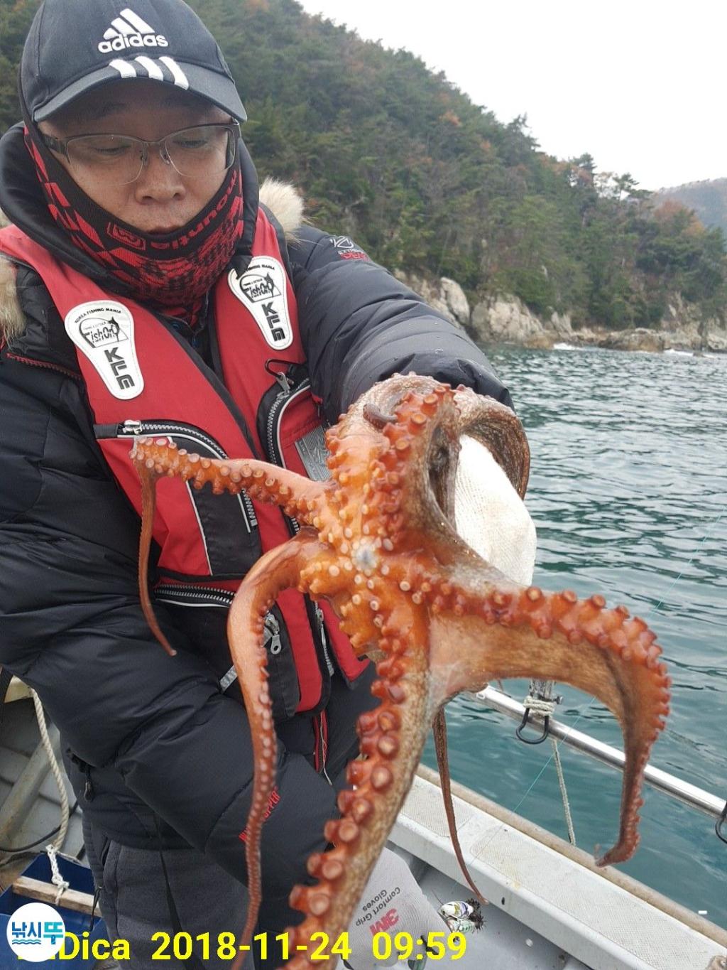 낚시뚜,돌문어,진해 안골항,제일호,낚시뚜4