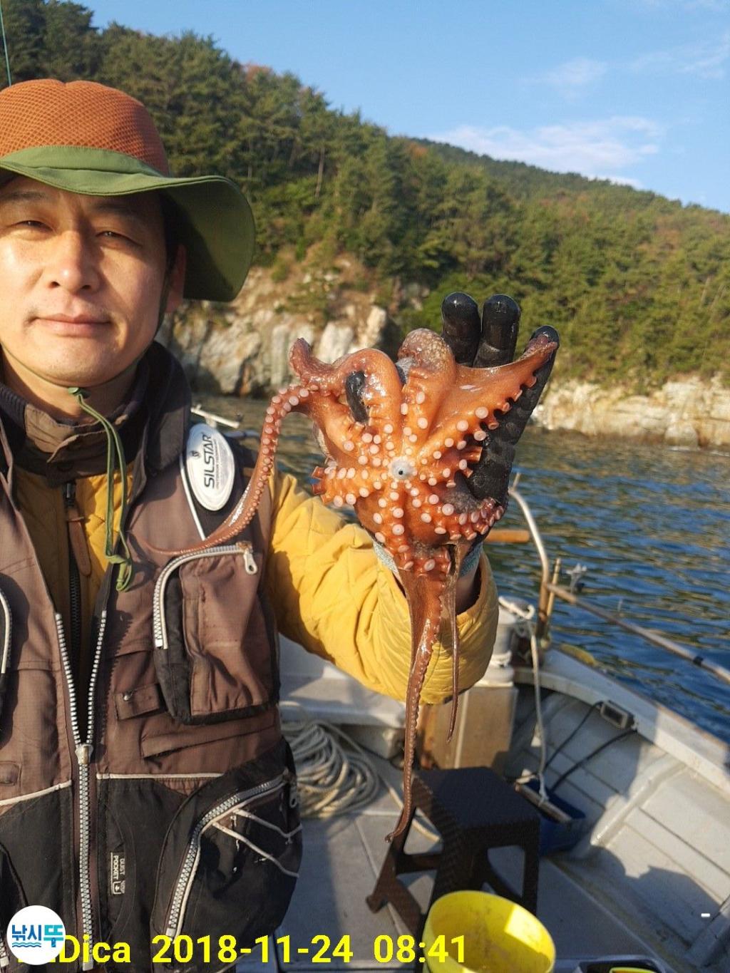 낚시뚜,돌문어,진해 안골항,제일호,낚시뚜3