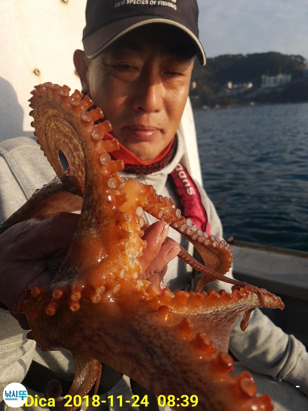 낚시뚜,돌문어,진해 안골항,제일호,낚시뚜2