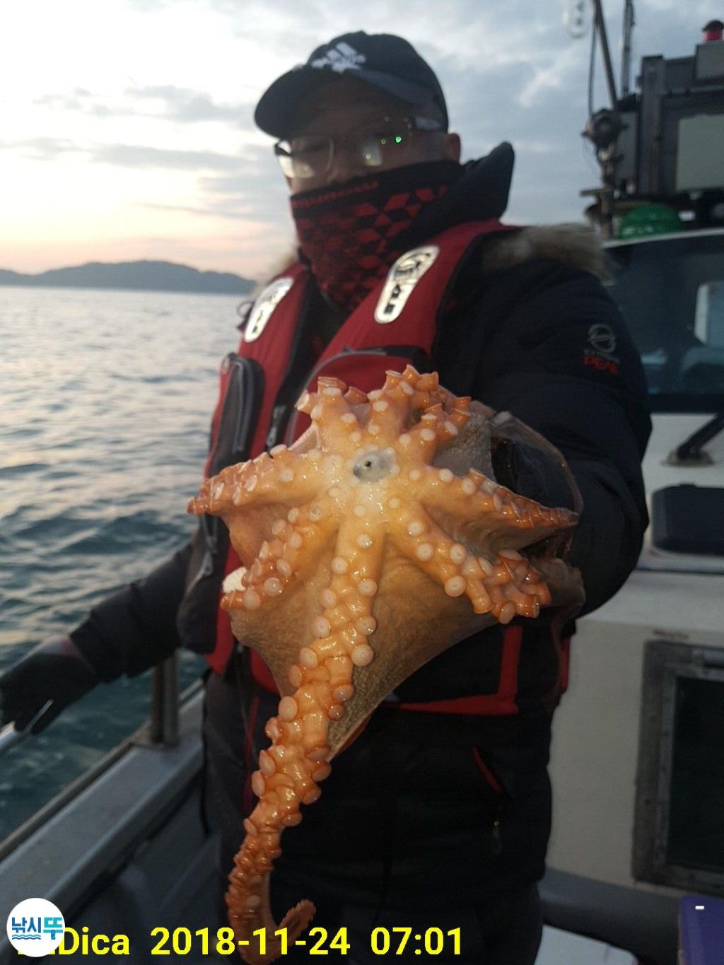 낚시뚜,돌문어,진해 안골항,제일호,낚시뚜0