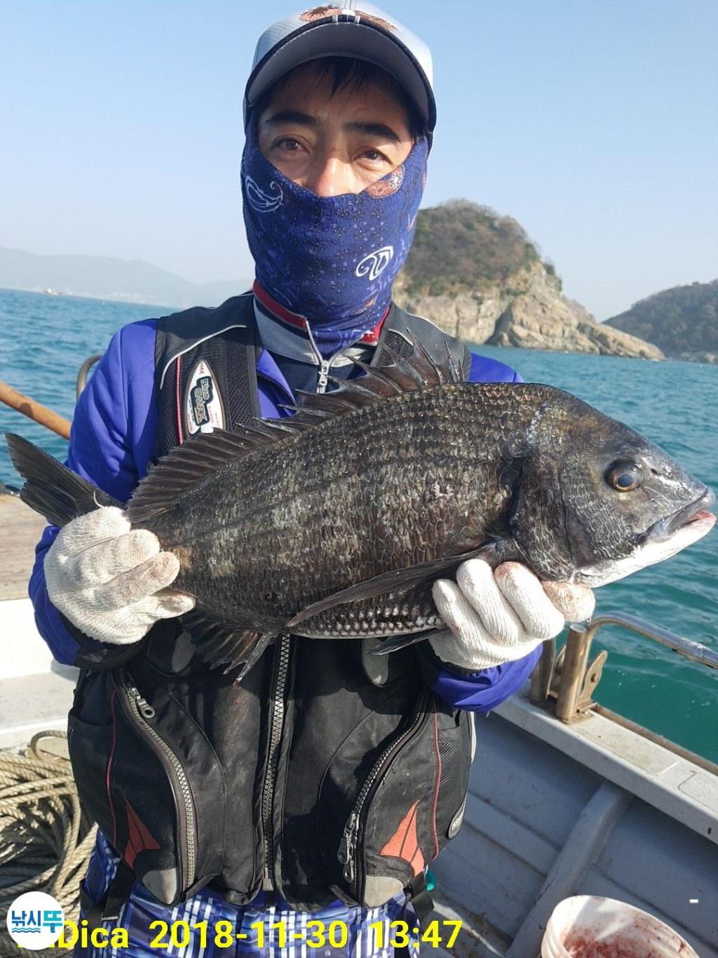 낚시뚜,감성돔,진해 안골항,제일호,낚시뚜4