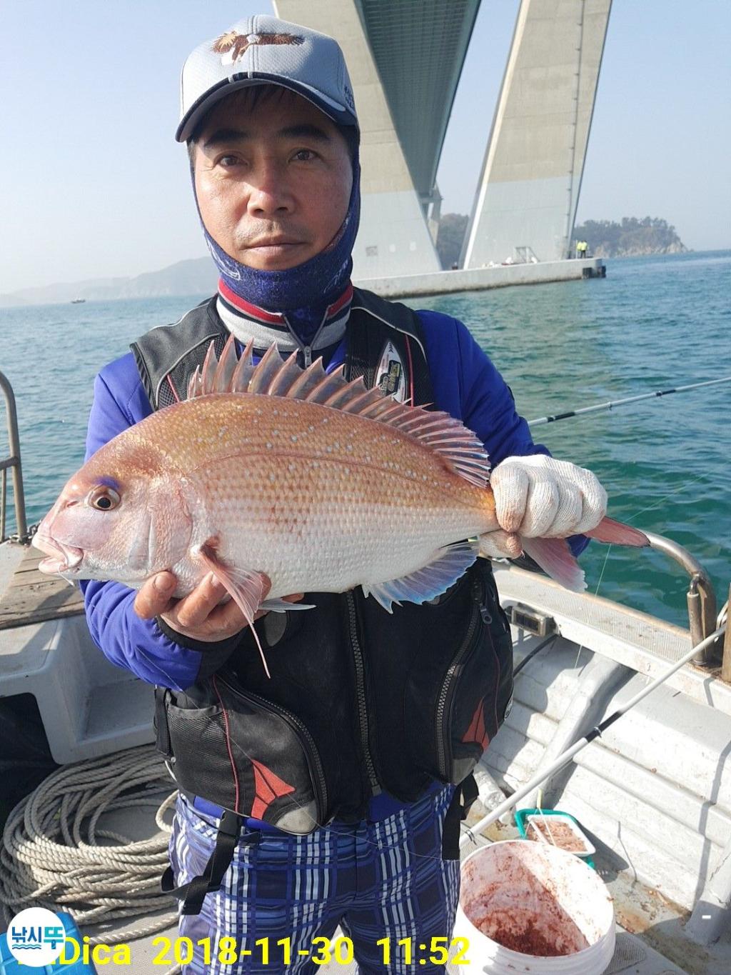낚시뚜,감성돔,진해 안골항,제일호,낚시뚜3