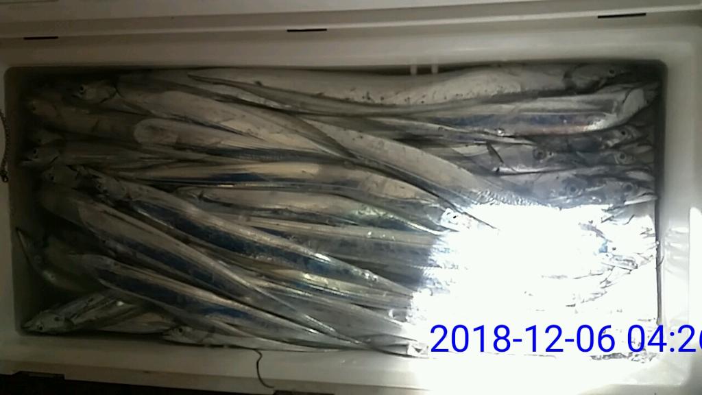 낚시뚜,갈치,녹동항,태극피싱호,낚시뚜21