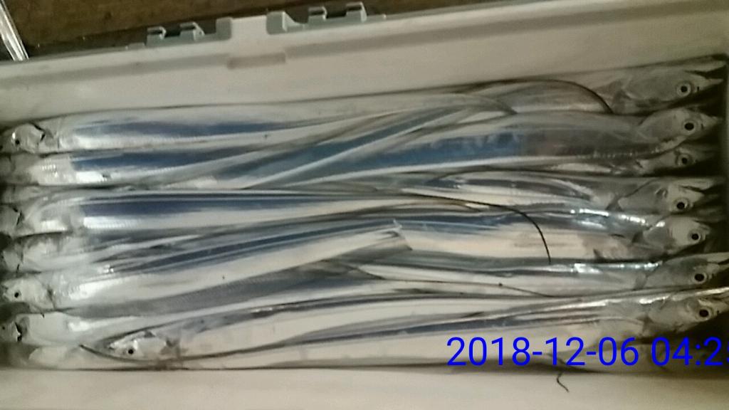 낚시뚜,갈치,녹동항,태극피싱호,낚시뚜23