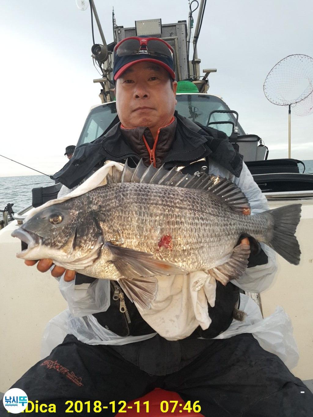 낚시뚜,감성돔,진해 안골항,제일호,낚시뚜2