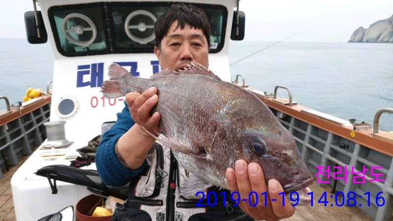 낚시뚜,참돔,녹동항,태극피싱호,낚시뚜1