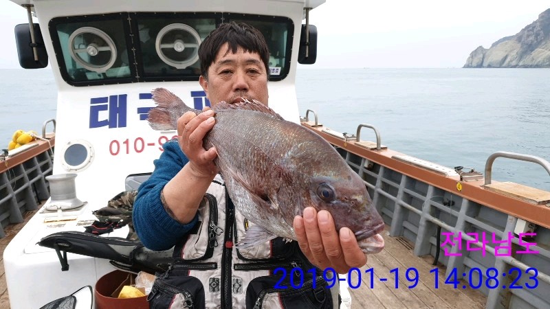 낚시뚜,참돔,녹동항,태극피싱호,낚시뚜4