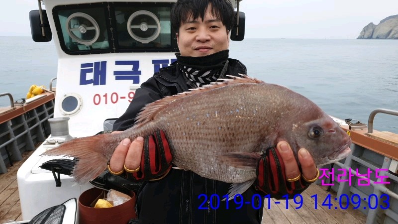 낚시뚜,참돔,녹동항,태극피싱호,낚시뚜5