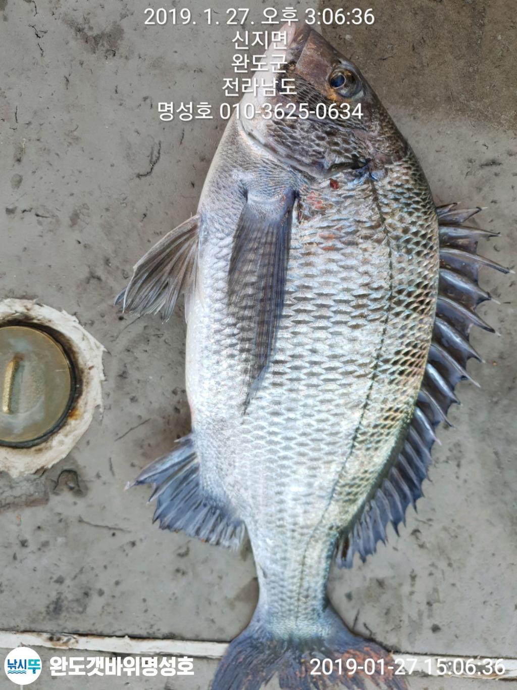 명성호 갯바위조황 인터넷바다낚시 - 대한민국 바다낚시 포탈사이트