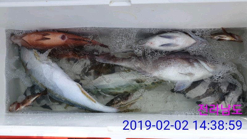 낚시뚜,,녹동항,태극피싱호,낚시뚜5