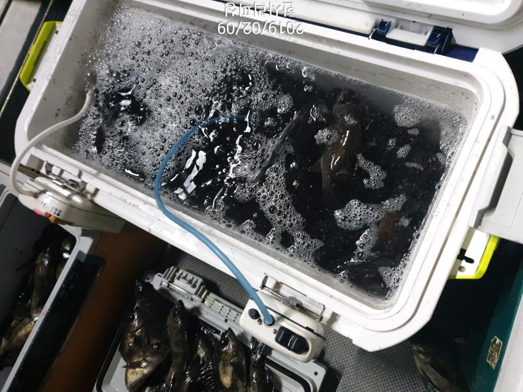 낚시뚜,볼락,삼천포 신향마을,한사리피싱,낚시뚜10