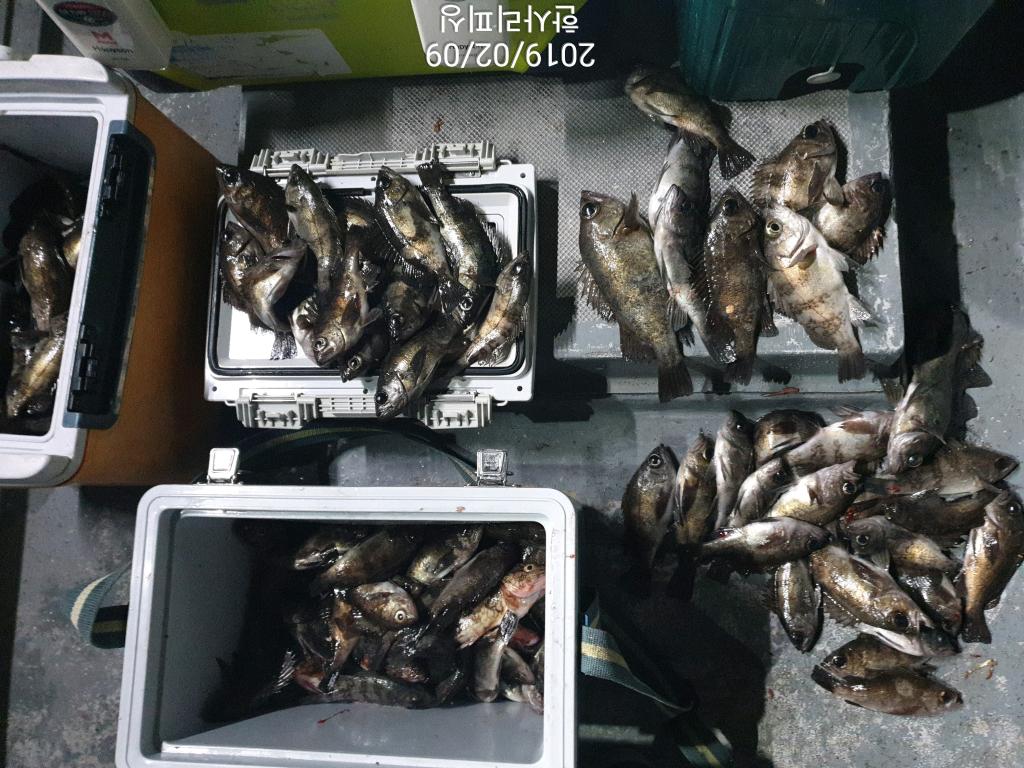 낚시뚜,볼락,삼천포 신향마을,한사리피싱,낚시뚜11