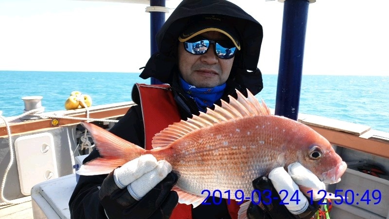 낚시뚜,참돔,녹동항,태극피싱호,낚시뚜3