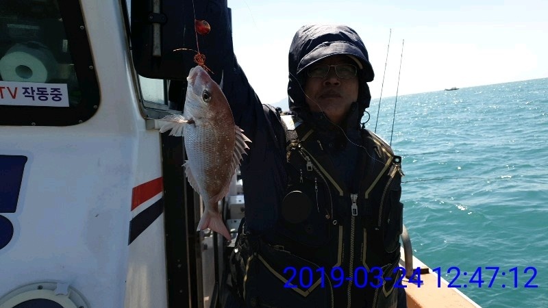 낚시뚜,참돔,녹동항,태극피싱호,낚시뚜10