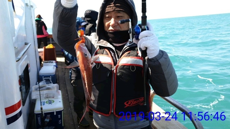 낚시뚜,참돔,녹동항,태극피싱호,낚시뚜11
