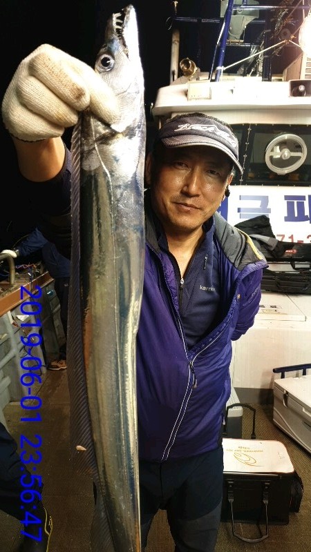낚시뚜,갈치,녹동항,태극피싱호,낚시뚜0