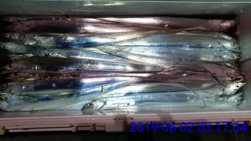 낚시뚜,갈치,녹동항,태극피싱호,낚시뚜10