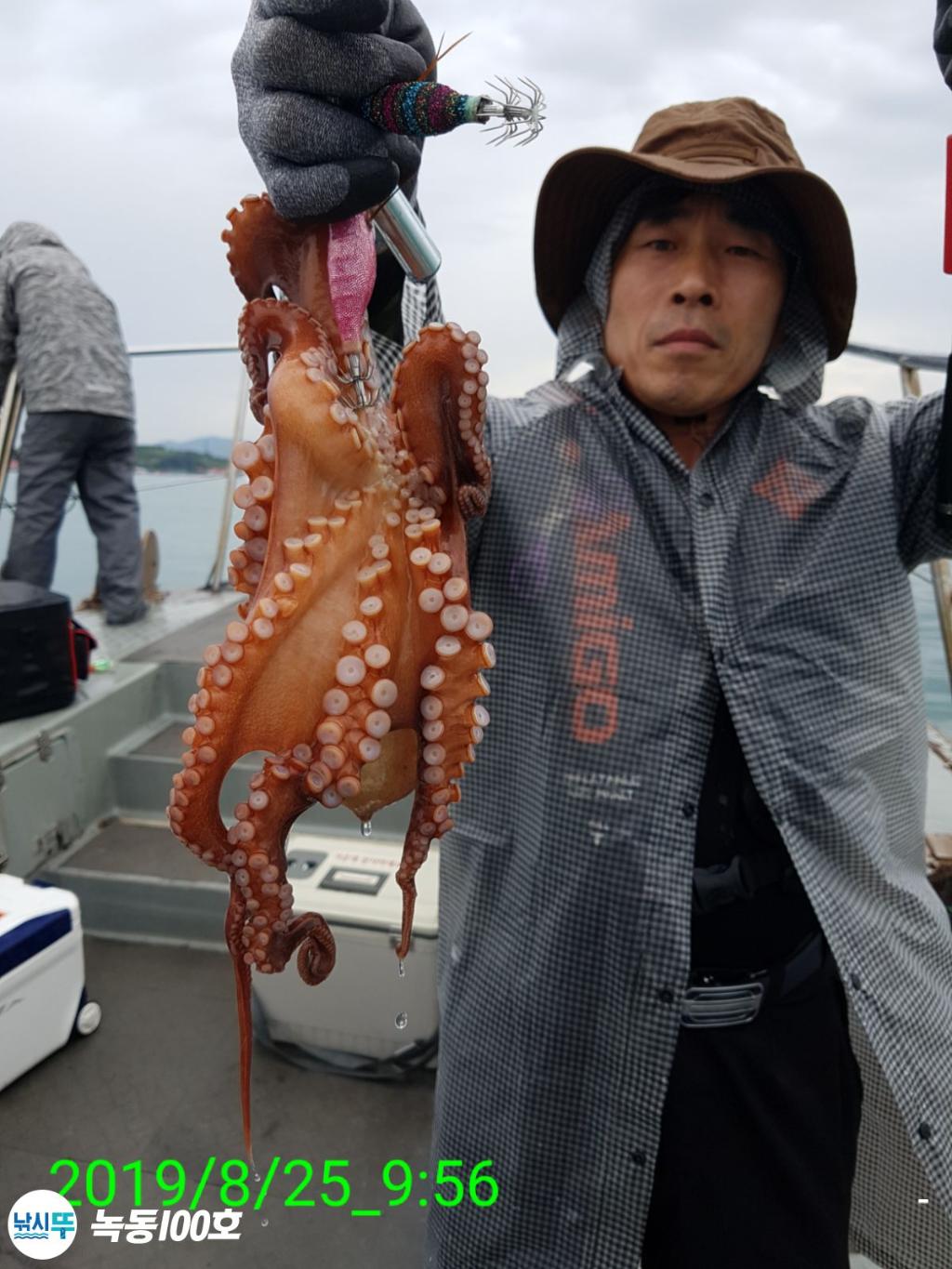 낚시뚜,돌문어,녹동항,녹동100호,낚시뚜82