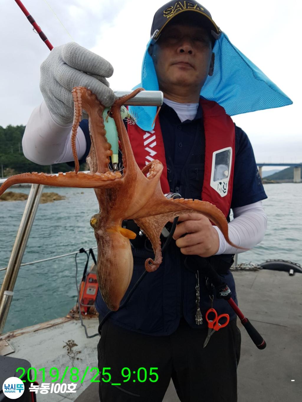 낚시뚜,돌문어,녹동항,녹동100호,낚시뚜78