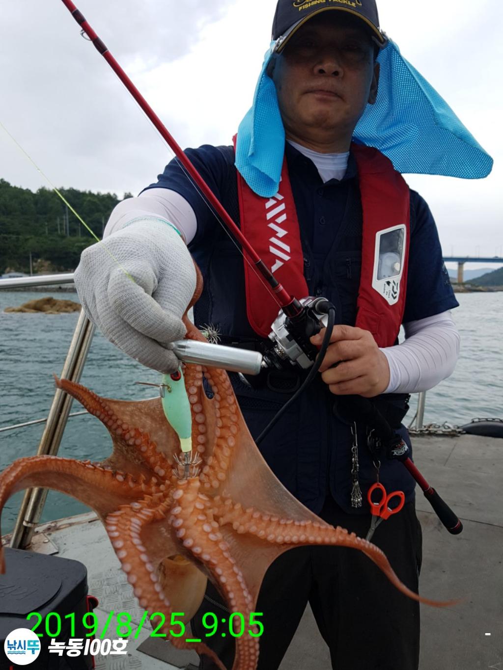 낚시뚜,돌문어,녹동항,녹동100호,낚시뚜77