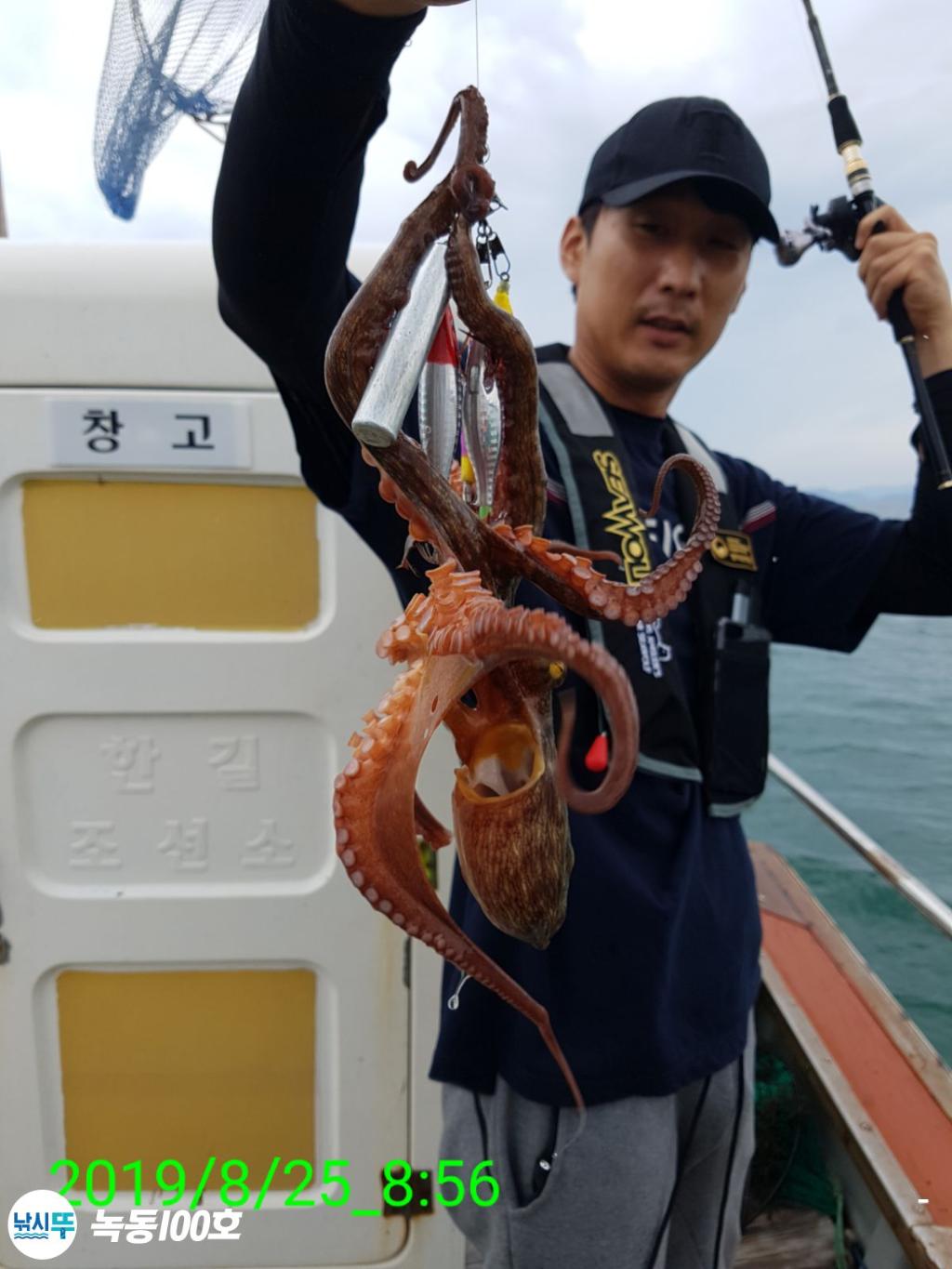 낚시뚜,돌문어,녹동항,녹동100호,낚시뚜76