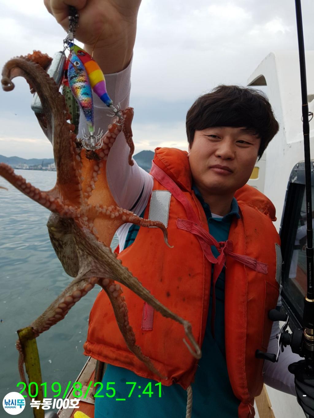 낚시뚜,돌문어,녹동항,녹동100호,낚시뚜72