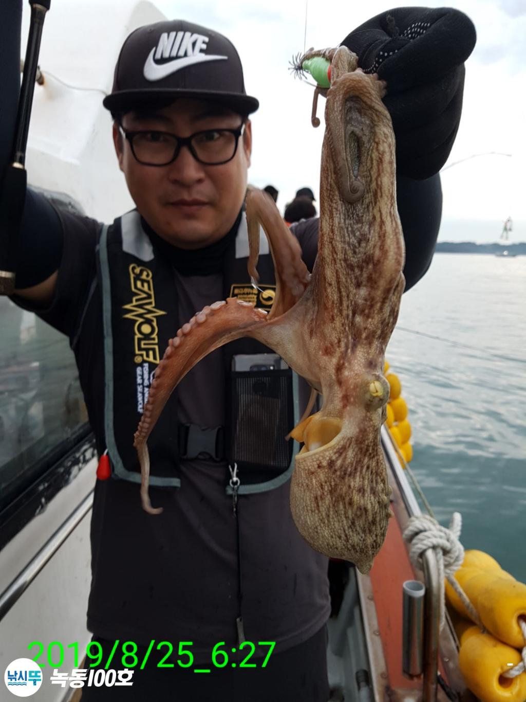 낚시뚜,돌문어,녹동항,녹동100호,낚시뚜64