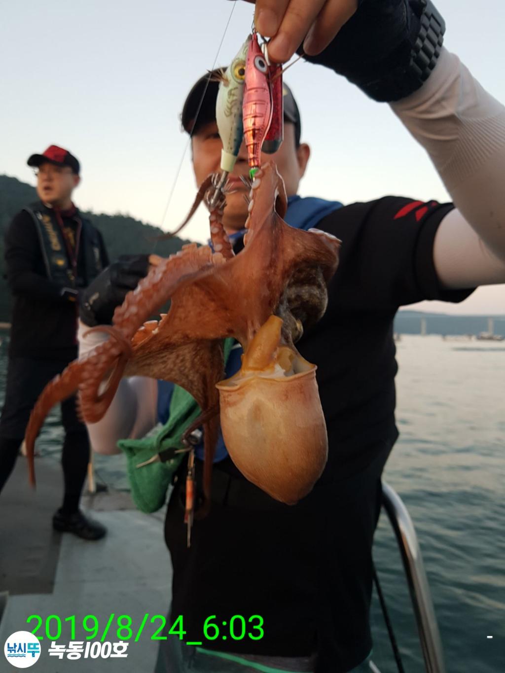 낚시뚜,돌문어,녹동항,녹동100호,낚시뚜46