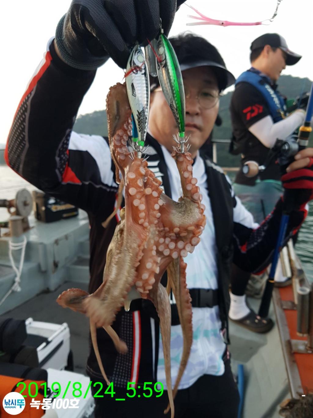 낚시뚜,돌문어,녹동항,녹동100호,낚시뚜45