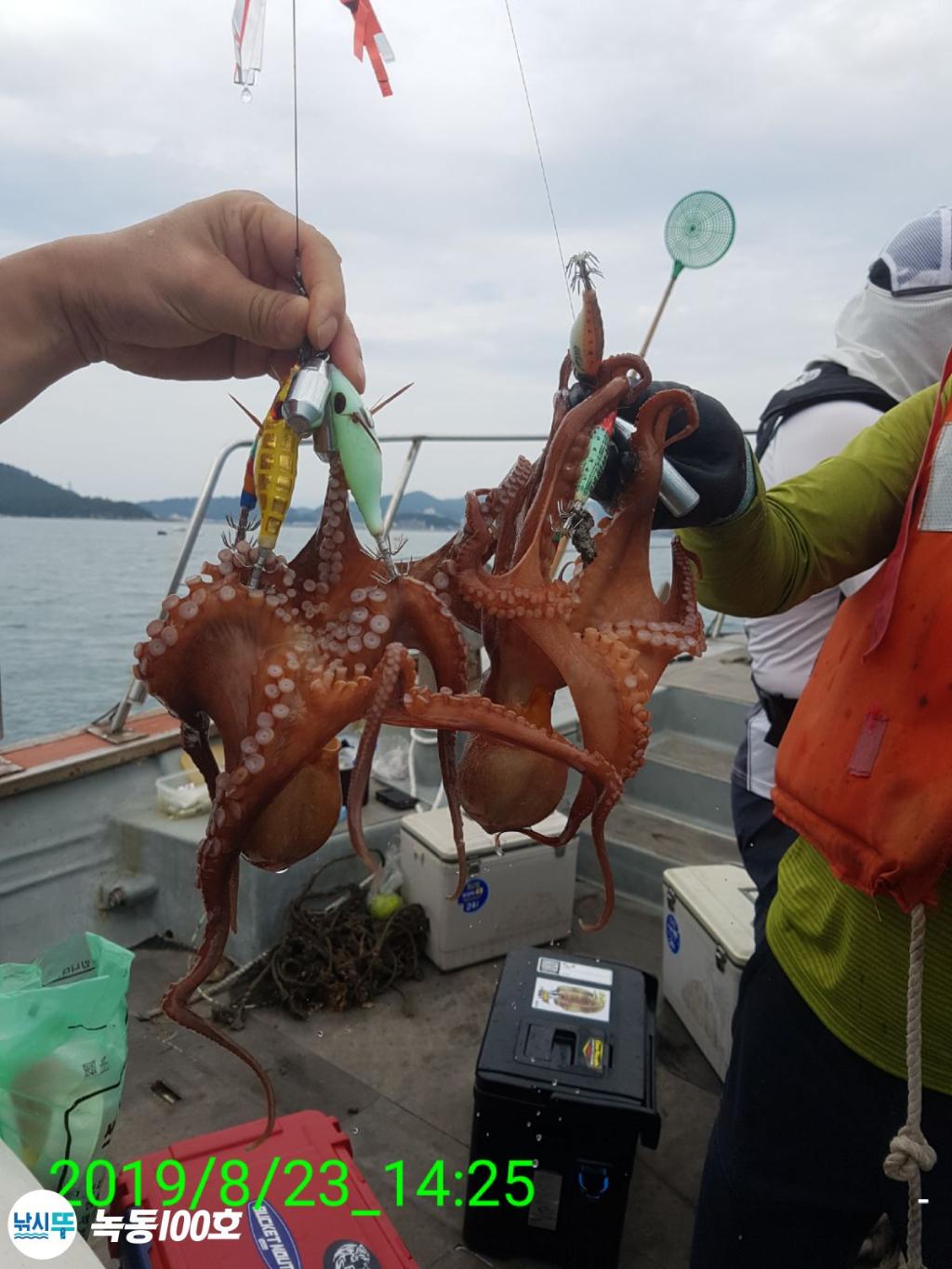 낚시뚜,돌문어,녹동항,녹동100호,낚시뚜30