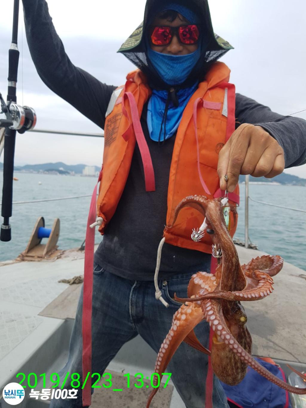 낚시뚜,돌문어,녹동항,녹동100호,낚시뚜23