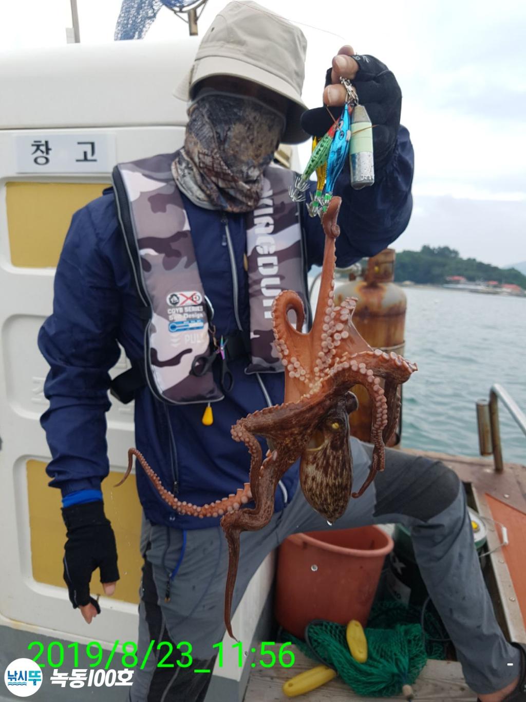 낚시뚜,돌문어,녹동항,녹동100호,낚시뚜15