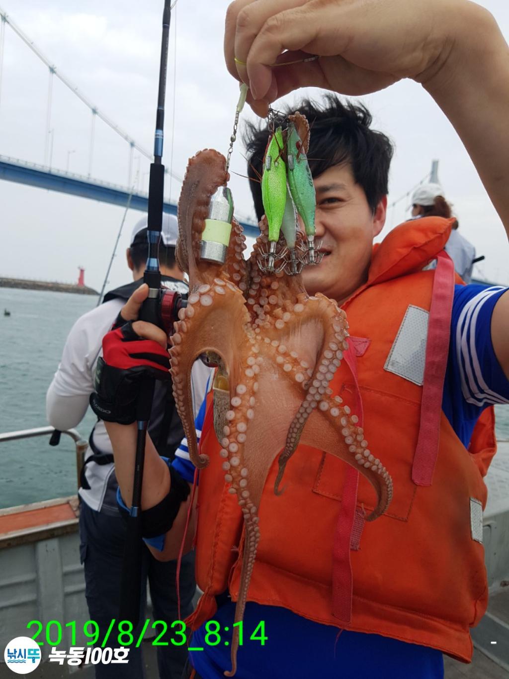 낚시뚜,돌문어,녹동항,녹동100호,낚시뚜9