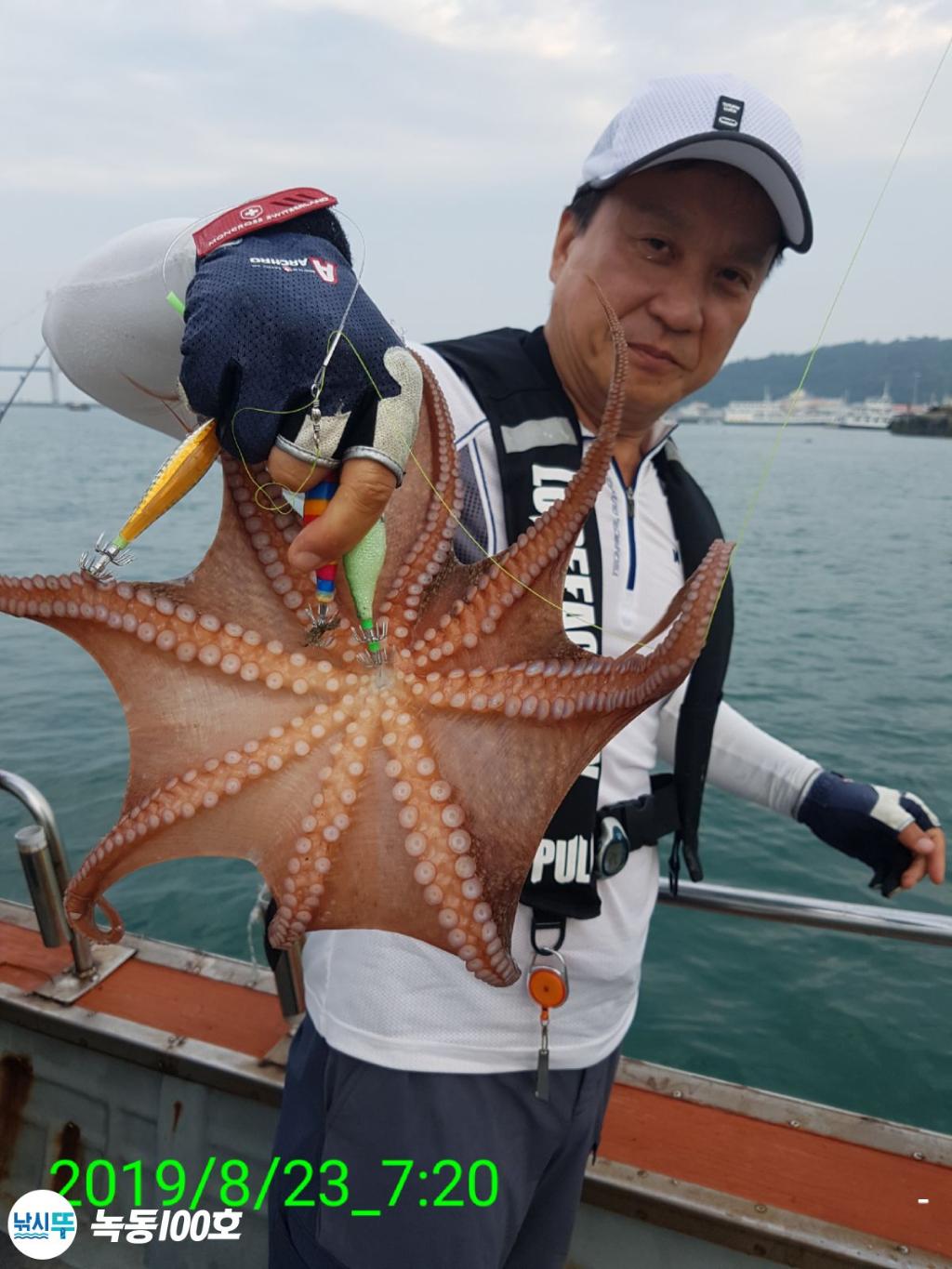 낚시뚜,돌문어,녹동항,녹동100호,낚시뚜7