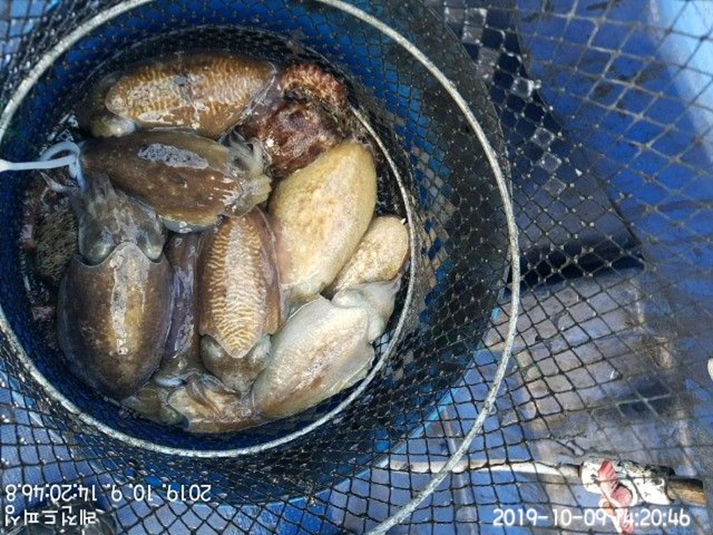낚시뚜,갑오징어,대방항,레전드피싱,낚시뚜5