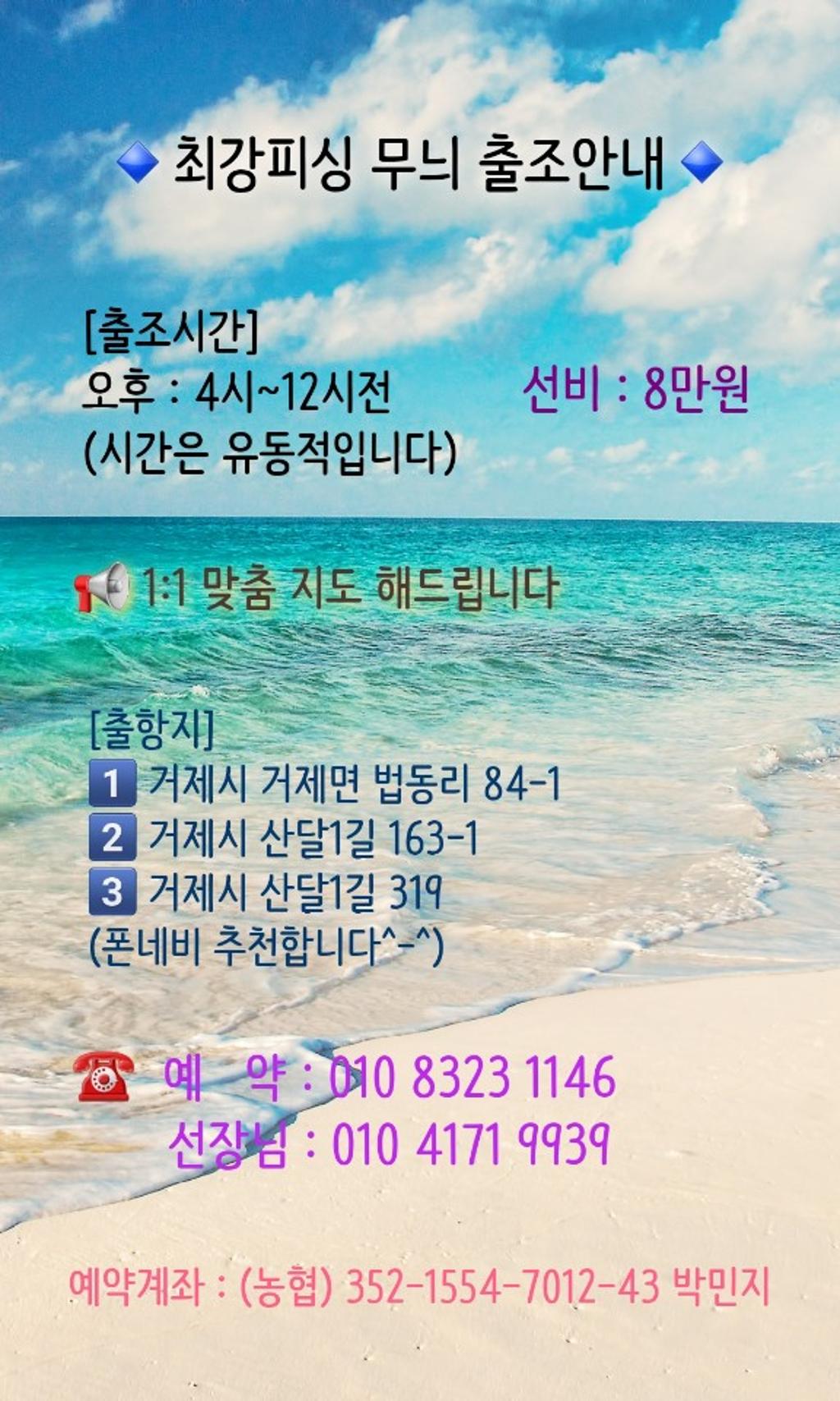 낚시뚜,무늬오징어,술역항,거제최강피싱,낚시뚜1