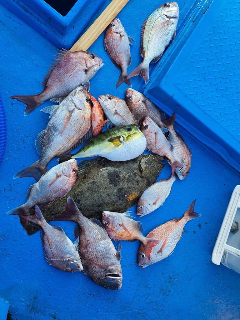 낚시뚜,참돔 광어,서망항,뻥쟁이호,낚시뚜2