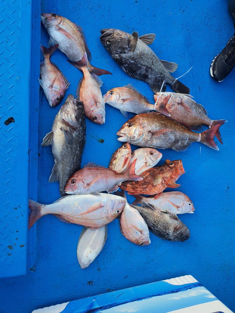 낚시뚜,,서망항,뻥쟁이호,낚시뚜0